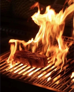 Parrilla <span class=keywords><strong>Gaucho</strong></span> Asado Integrada Acero Inoxidable Brasero Argentina Exterior Santa María Chimenea Parrillas Argentinas Horno de Carbón - Product Image 4