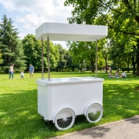 Chariot de vente ambulant multifonctionnel pour glaces et gelatos, chariot commercial pour snacks d'extérieur avec congélateur de présentation