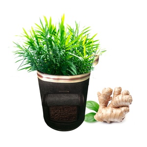 <span class=keywords><strong>Maceta</strong></span> con mango personalizada, bolsa de jardín de fieltro de 3/5/7 galones, bolsas de cultivo de tela no <span class=keywords><strong>tejida</strong></span>, color negro, venta al por mayor - Product Image 5