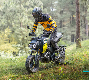 Nuova Moto Mini Fuoristrada XO Baboon Adventurer Versione ABS a Carburante 125 <span class=keywords><strong>CC</strong></span> - Product Image 4