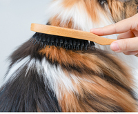 Brosse de toilettage portable Truelove en bambou écologique avec poignées ergonomiques, peigne démêlant doux et sûr pour chiens et chats – Offre spéciale