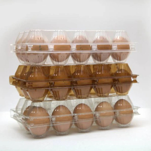 Tự động thermoforming Máy <span class=keywords><strong>PP</strong></span> vỉ chân không hình thành <span class=keywords><strong>PVC</strong></span>/<span class=keywords><strong>PET</strong></span>/PS nhựa khay trứng thermoforming Máy làm - Product Image 2