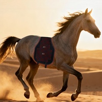 Couverture LED infrarouge mobile pour chevaux, équipement thérapeutique vétérinaire pour le bien-être équin, avec batterie intégrée et thérapie par lumière rouge
