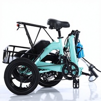 Tricycle électrique à boîte amovible, 20 pouces, 350W, 36V, 48V, avec assistance au pédalage, unisexe, adulte, fourche en acier, vélo cargo