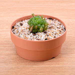 Plant Flower Pot <b>Planter</b> Ceramic Flowerpot Garden Home Decoration - Product Image 2