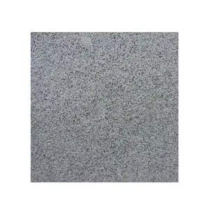 Wuhan 60x60 Bella barato Branco Chinês Granito Polonês Chama Ao Ar Livre Indoor China Telha G603