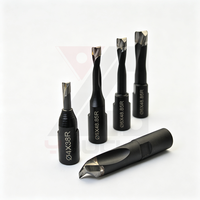 Lot de 5 forets en carbure monobloc 4/5/6/8/10 mm, embouts de précision pour le travail du bois (bois tendre et dur, MDF et contreplaqué) pour perceuse à main