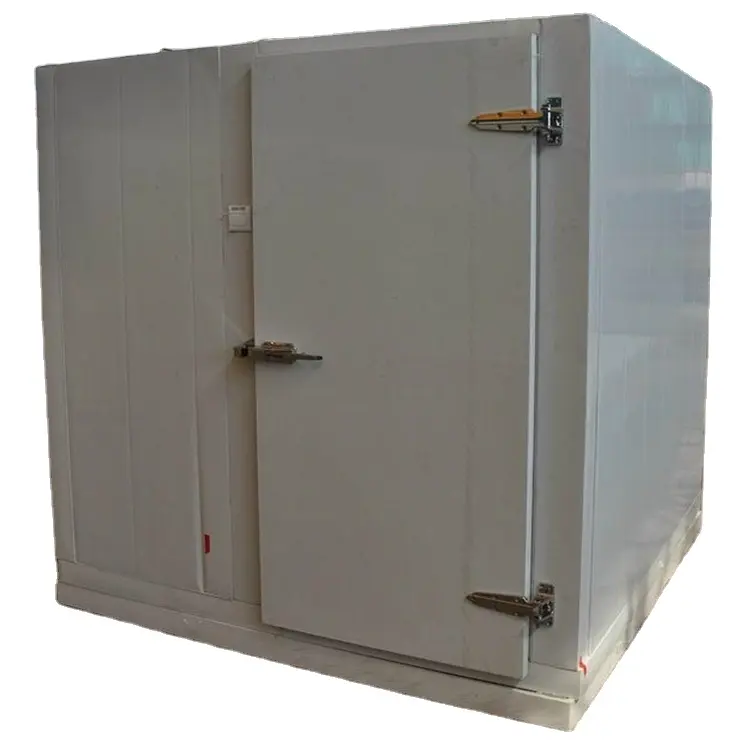 Hot Sale Cold Room Container Walk In Cooling Container Customized Cold Storage Room For Meat And Vegetables