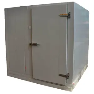 Conteneur Offre Spéciale de chambre froide promenade dans la chambre froide adaptée aux besoins du client de conteneur de refroidissement pour la viande et les légumes
