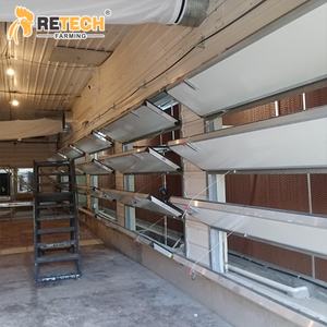 3/4 camadas camada reprodução pullet frango gaiola equipamentos com alimentação bebendo sistema - Product Image 6