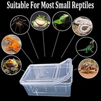 En gros : Plateau en plastique, Boîtes d'élevage de petite taille, Boîtes d'alimentation pour reptiles, Boîtes pour animaux de compagnie, Boîtes de protection pour araignées, Boîtes de transport robustes pour grenouilles cornues et coléoptères
