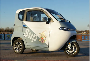 Vélo tricycle électrique <span class=keywords><strong>danois</strong></span> à trois roues EEC 2000w Tricycle électrique entièrement fermé pour les personnes âgées - Product Image 4