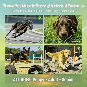 Complément Alimentaire pour Chiens de Performance à Vente Directe Usine : BCAA, Chondroïtine, Récupération à Base de Plantes pour Chiens de Travail – Marque Privée - Product Image 3