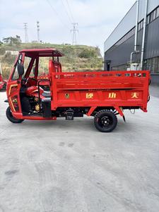 Tricycle KungFu <span class=keywords><strong>Tiger</strong></span>-Rui / Vente Flash / Tricycle à Trois Roues / <span class=keywords><strong>200cc</strong></span> / Tricycle à 3 Roues Droites / <span class=keywords><strong>Moto</strong></span> Tricycle / Alimentation à Essence / NOUVEAU 2026 - Product Image 3