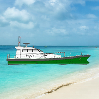 Bateau patrouilleur à grande vitesse Grandsea de 17,6 m, neuf, en fibre de verre, avec moteurs in-bord et télécommande, à vendre