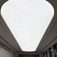 Film souple lumineux LED pour plafond en tissu tendu PVC ignifuge, très demandé