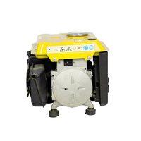 Gasofbrühtequipment tragbar 800 W tragbare elektrische Mini-Benzin-Generatoren