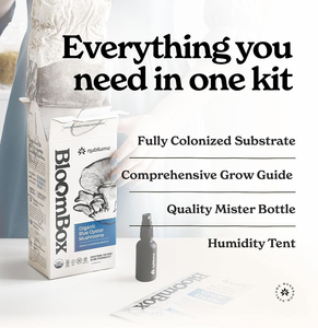 Kit de culture de champignons fonctionnels, kit de jardinage hydroponique de champignons, kit de culture de champignons de culture biologique, kit de culture de champignons de culture biologique - Product Image 3