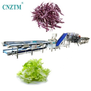 Ligne d'équipement automatique de découpe, <span class=keywords><strong>lavage</strong></span> et séchage de fruits et légumes, machines de transformation de fruits et légumes, capacité de 500 kg/h - Product Image 2