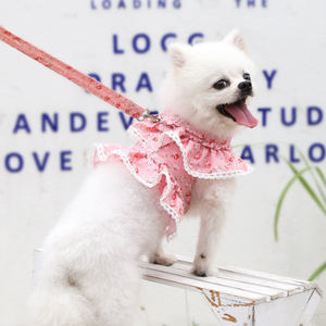 Pettorina Rosa Floreale per Cani con Fiori 3D, Gilet in Pizzo a Rete con Volant e Guinzaglio con Anello a D, Grazioso Abbigliamento da Passeggio per Cuccioli e Gattini di Piccola Taglia - Product Image 3