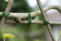 NIF Vente en gros Différentes tailles personnalisées Cravate torsadée pour plantes en plastique souple pour pépinière de jardin