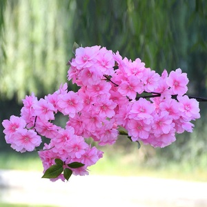 Décoration de mariage pour la maison, <span class=keywords><strong>fleurs</strong></span> en soie, <span class=keywords><strong>fleurs</strong></span> artificielles de <span class=keywords><strong>cerisier</strong></span>, branches de <span class=keywords><strong>fleurs</strong></span> - Product Image 3