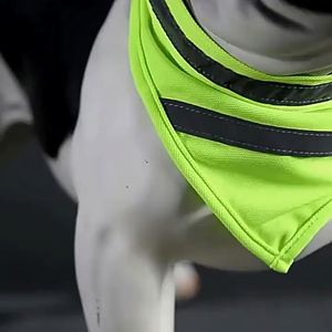 Custom Reflective Dog Triangle <b>Scarf</b> Fluorescent Lightweight Pet Bib Glow in Dark Velcro Pet Bandana Safety Walking Neck <b>Scarf</b> - Product Image 4