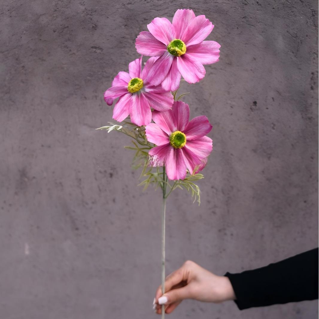 #17 Fiore di Gesang