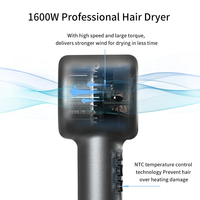 OEM ODM 120000 tr/min Sèche-cheveux à ions négatifs Fabricant professionnel BLDC 120000 tr/min Sèche-cheveux à grande vitesse