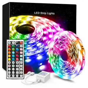 Venta directa de fábrica Control remoto a todo Color Wifi APP Bluetooth 12V Smd RGB 5050 Tiras de luces LED flexibles inteligentes para Tv Home