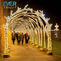 Arche lumineuse LED personnalisable pour extérieur, tunnel décoratif pour Halloween, Noël, festivals et aménagements paysagers