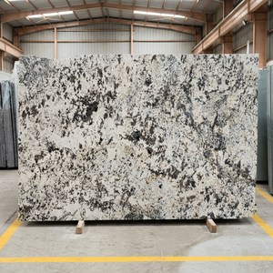 Granito Blanco de Alaska en Losa Grande Pulida para Encimeras y Mesitas de Baño, Piedra Contemporánea y Duradera - Product Image 2