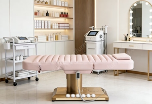 Popular Pink <b>Electric</b> Beauty Bed White and Silver <b>Electric</b> Beauty Bed - Product Image 4