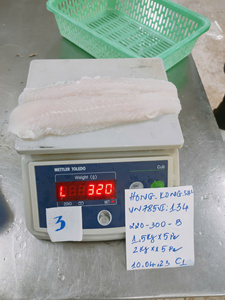 Filete de Pangasius Congelado Blanco Premium IQF de 10-12 cm, Bajo en Carbohidratos, Sin Aditivos, Marca VHFood, Paquete a Granel de Vietnam - Product Image 3