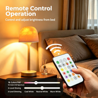 Lampe de table projecteur d'ondes aquatiques ABS moderne, télécommande tactile, alimentation par batterie/électrique, veilleuse romantique pour chambre à coucher