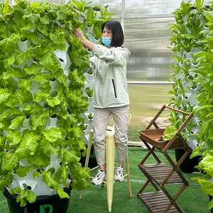 Smart agricoltura idroponica sistema di irrigazione automatica uso domestico giardino verticale crescere torre <span class=keywords><strong>per</strong></span> ortaggi erbe lattuga coltivazione - Product Image 3