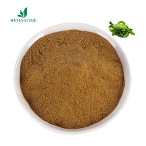 Stevia Rebaudianum <span class=keywords><strong>Bertoni</strong></span> Cas 91722-21-3 Édulcorants Chrysanthème Stevia Rebaudiana - Product Image 1