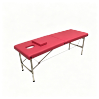 Table de massage professionnelle pliable en acier inoxydable à 2 sections, réglable