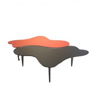 Composant de table d'appoint en forme de nuage au design artistique color-block, facile à assembler, style japonais, pour plateau de table à thé