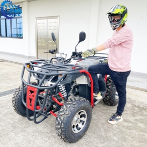 Kart à pédales LNA pour adultes, 200 cm³, essence, 4 temps, transmission par chaîne, quad avec moteur <span class=keywords><strong>automatique</strong></span>, homologué pour la route, pour utilisation en extérieur - Product Image 1