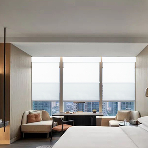 Double Layer Day Night Automatic WIFI Electric Smart Motorized Zebra Roller Blackout Shades <strong>Blinds</strong> <strong>for</strong> <strong>Window</strong> - Product Image 4