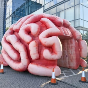 Modelo de Cerebro Inflable Impreso Personalizado de Gran Tamaño, Escultura Realista de Órgano Médico para Activación de Marca <span class=keywords><strong>en</strong></span> Comercios/Salud Pública - Product Image 4