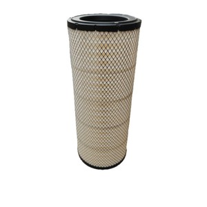 Filtro de Aire P534096 AF25219 AF25525 AF26657 Tamaño Estándar para Vehículos en General Transmisión Manual - Product Image 1