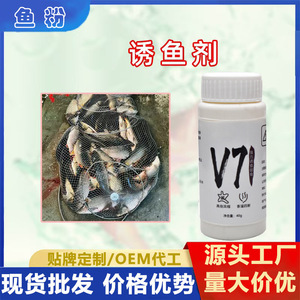 Polvo Atractante para Peces JYNB V7 40g Alta Concentración para Pesca de Carpa Crucian y Carpa de Hierba - Product Image 4