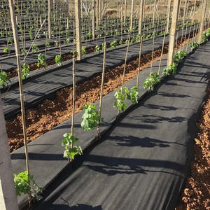 เสื่อวัชพืชสำหรับควบคุมวัชพืชผ้าสำหรับกำจัดวัชพืชสำหรับงานหนักงานตามสั่ง - Product Image 4