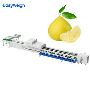 Máquina Clasificadora Óptica Inteligente de Frutas y Verduras Easyweigh YOS-L para Pomelo, Melón Hami, Sandía, 12000/hora - Product Image 1
