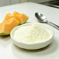 Poudre de cantaloup concentrée séchée par pulvérisation de qualité alimentaire, pure et naturelle, en gros, poudre de jus de melon Hami instantanée de haute qualité