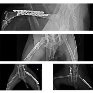 Placas ortopédicas veterinarias placa Alps T instrumento quirúrgico placas ortopédicas veterinarias - Product Image 6