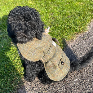 Qiqu suministros <span class=keywords><strong>para</strong></span> mascotas personalizado nuevo diseñador juguete <span class=keywords><strong>caniche</strong></span> <span class=keywords><strong>abrigo</strong></span> cálido de invierno verde oliva Harris Tweed con detalle de botón de efecto de madera - Product Image 1