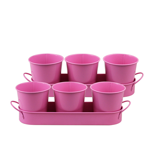 BX Garden Petite jardinière en métal en <span class=keywords><strong>acier</strong></span> <span class=keywords><strong>galvanisé</strong></span> Pot de fleur de bureau décoratif avec plateau pour affichage d'herbes et de fleurs - Product Image 5